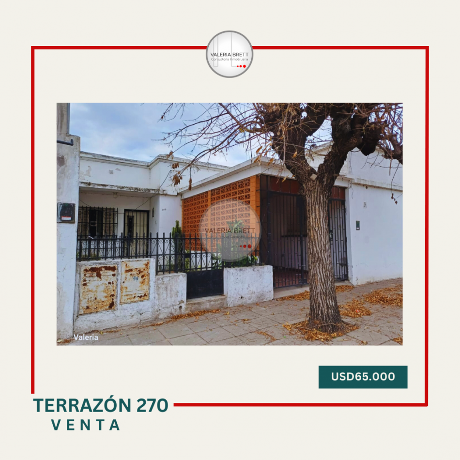 TERRAZON 270