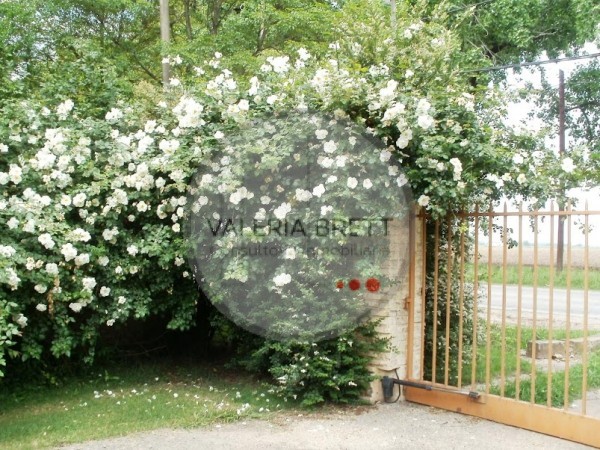 VENTA O PERMUTA . ESPECTACULAR PREDIO CON CASA