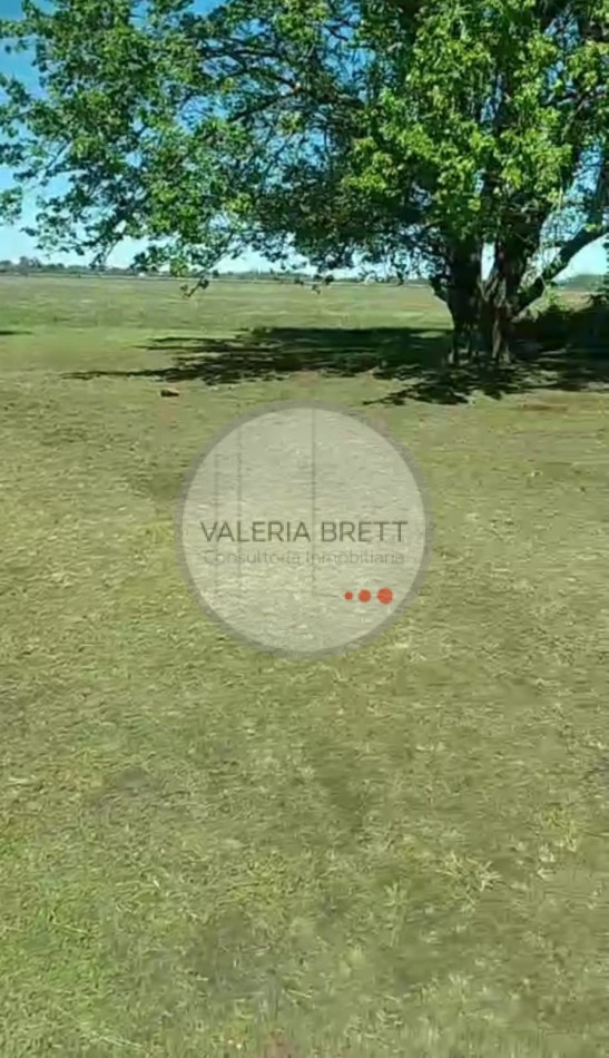 LOTE BARRIO YAGUARON