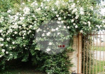 VENTA O PERMUTA . ESPECTACULAR PREDIO CON CASA