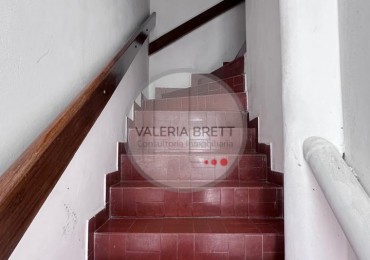 ALVEAR 303